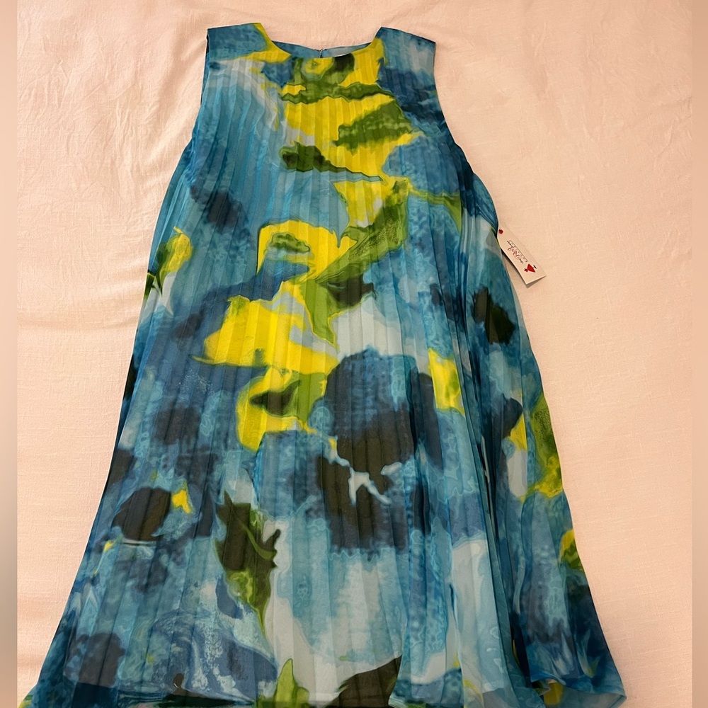 BB Dakota Dress